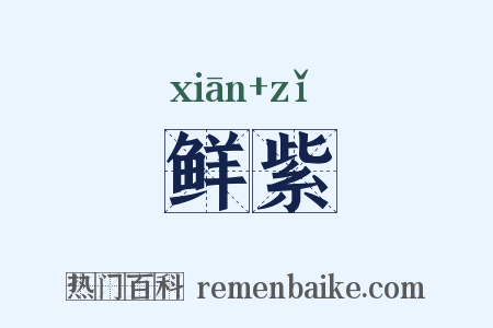 鲜紫是什么意思的图片